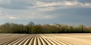 Production et négoce de pommes de terre, Culture Pom, Hauts-de-France, Grand Est, Beauce, pommes de terre, négoce pomme de terre, production pomme de terre