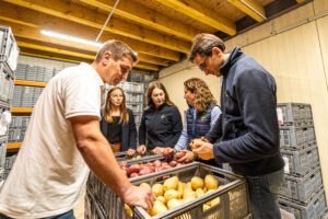 Production et négoce de pommes de terre, Culture Pom, Hauts-de-France, Grand Est, Beauce, pommes de terre, négoce pomme de terre, production pomme de terre